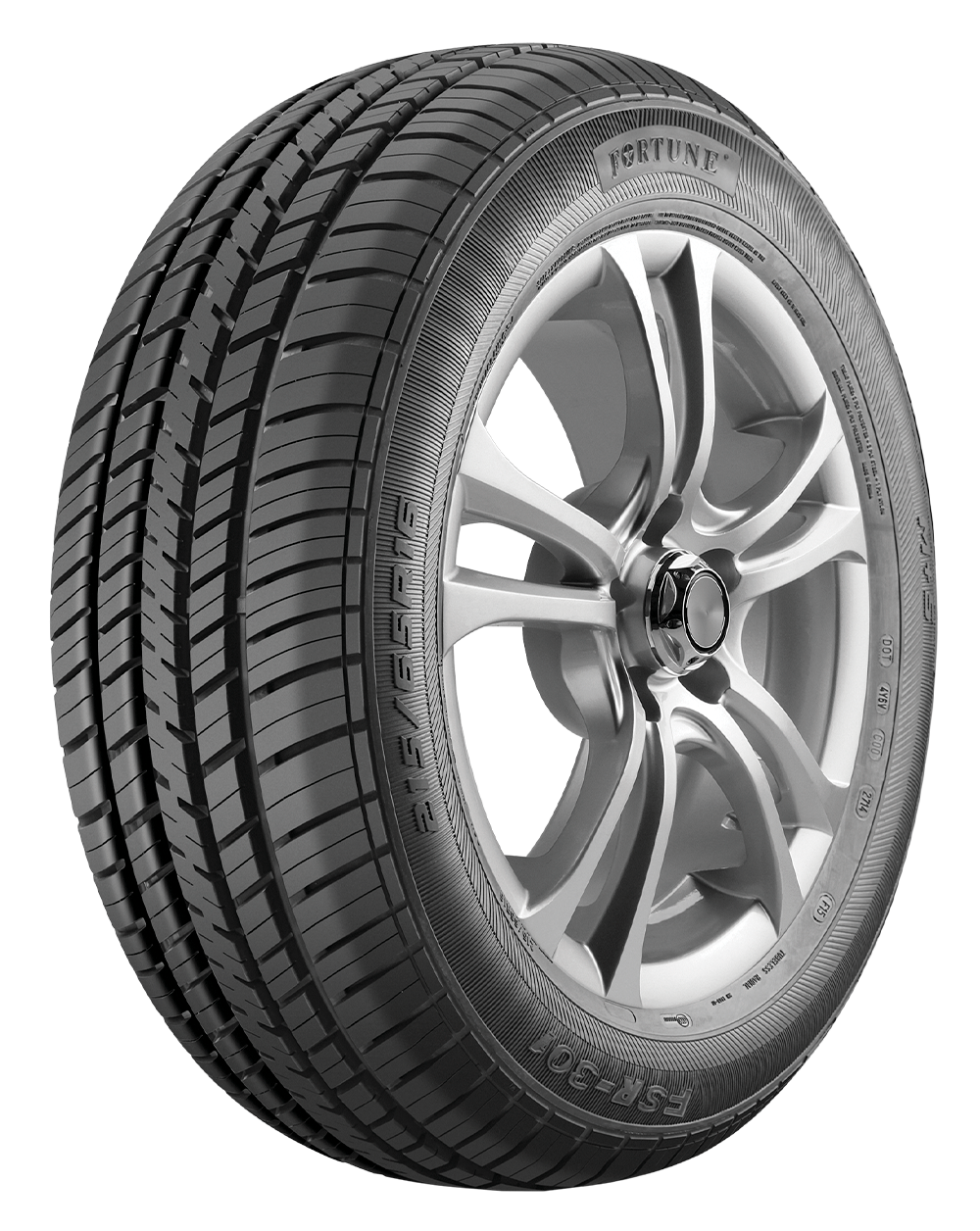 imagen modelo fsr301