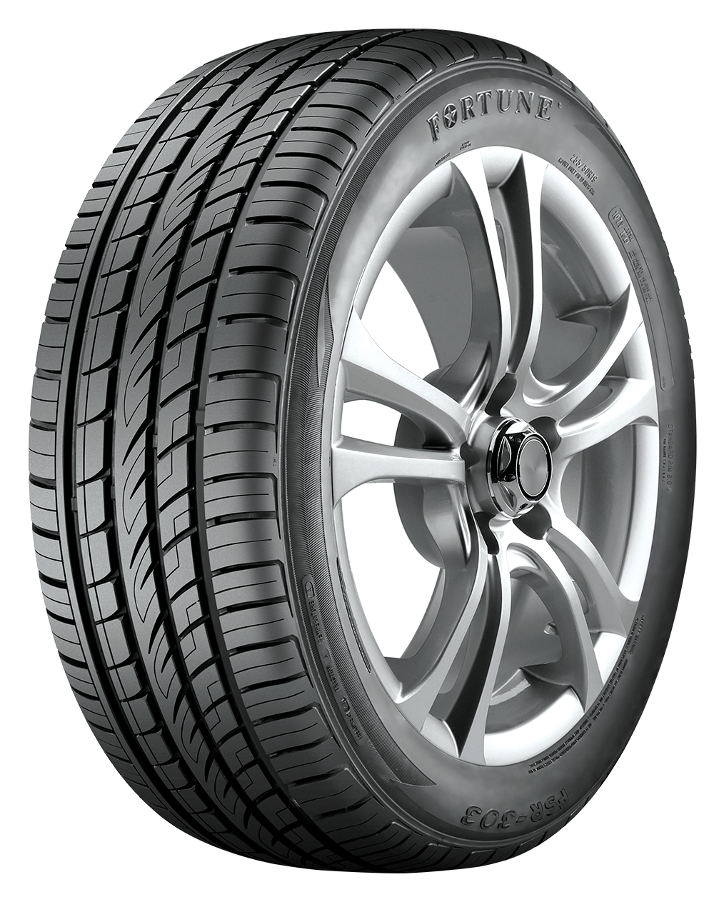 imagen modelo fsr303