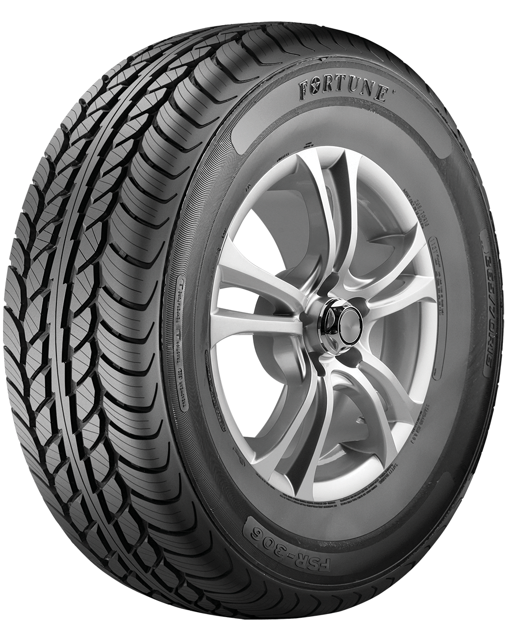 imagen modelo fsr306